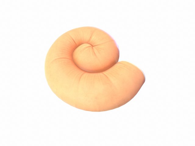 ammonite 3D मॉडल .c4d .max .obj .3ds .fbx .stl .blend 