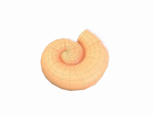 ammonite 3D मॉडल