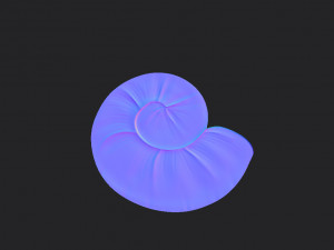 ammonite 3D मॉडल