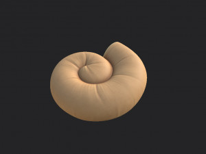 ammonite 3D मॉडल
