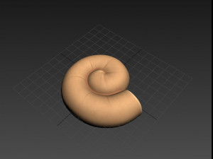 ammonite 3D मॉडल