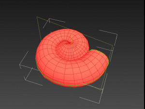 ammonite 3D मॉडल