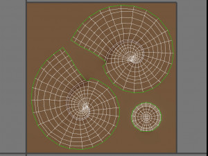 ammonite 3D मॉडल