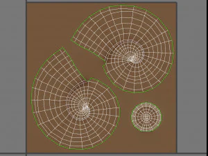 ammonite 3D Model