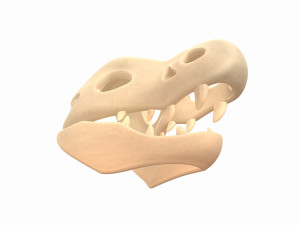 dinosaur skull Modelo 3D