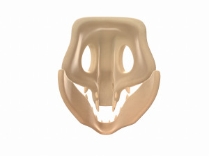 dinosaur skull Modelo 3D