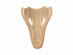 dinosaur skull Modelo 3D