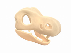 dinosaur skull Modelo 3D