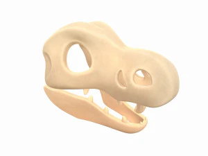 dinosaur skull 3D Model