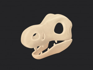 dinosaur skull Modelo 3D
