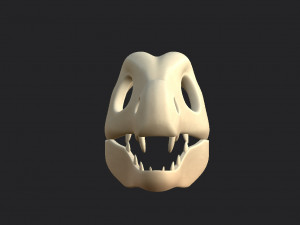 dinosaur skull Modelo 3D