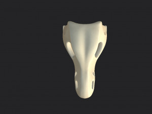 dinosaur skull Modelo 3D
