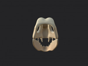 dinosaur skull Modelo 3D