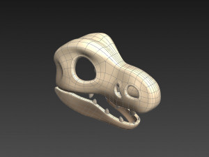 dinosaur skull Modelo 3D