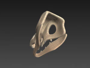 dinosaur skull 3D Model