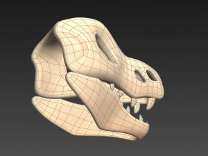 dinosaur skull Modelo 3D