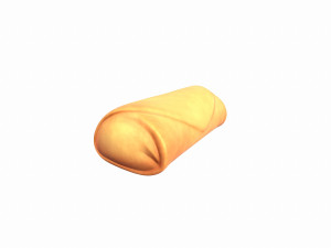 spring roll 3D मॉडल