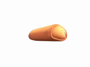spring roll 3D मॉडल
