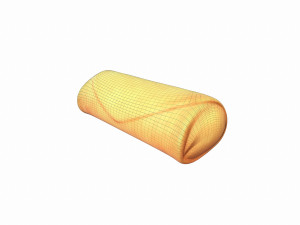 spring roll 3D मॉडल
