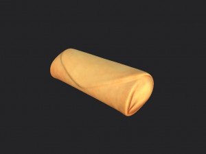 spring roll 3D मॉडल