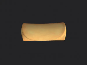 스프링롤 3D 모델