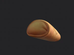 스프링롤 3D 모델