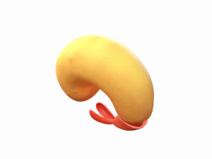 udang goreng Model 3D