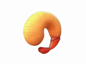 udang goreng Model 3D