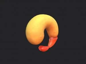 udang goreng Model 3D