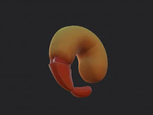 udang goreng Model 3D