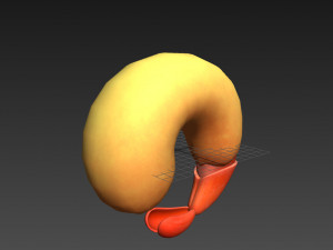fried shrimp 3D 模型