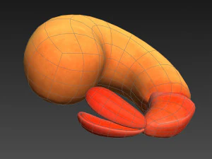 udang goreng Model 3D