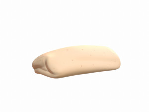 burrito Modelo 3D