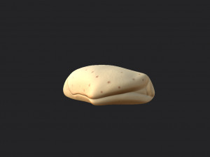 burrito Modelo 3D