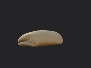 burrito Modelo 3D
