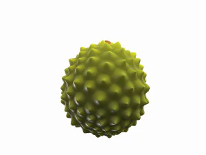 durian 3D Model