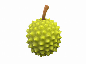 durian 3D मॉडल