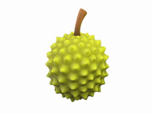 durian 3D Model