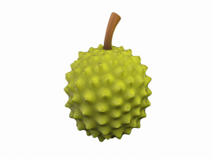 durian 3D मॉडल