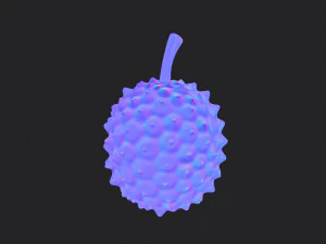 durian 3D Model