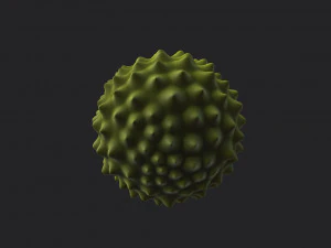 durian 3D Model