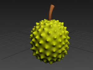 durian 3D Model