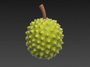 durian 3D मॉडल