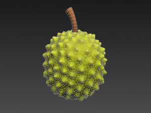 durian 3D Model