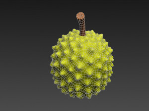 durian 3D मॉडल