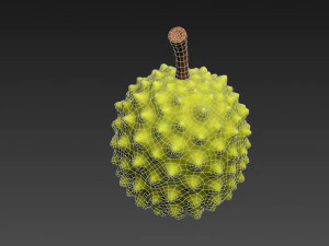 durian 3D Model