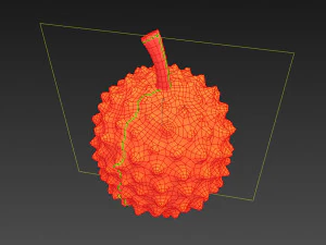 durian 3D Model