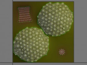 durian 3D Model