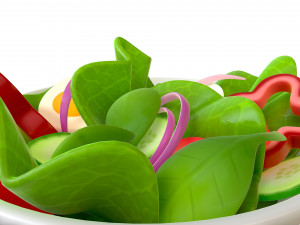 salad 3D Model