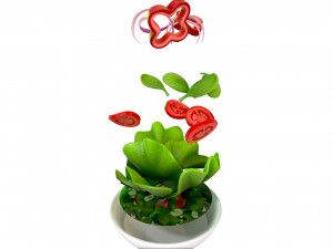 salad 3D Model